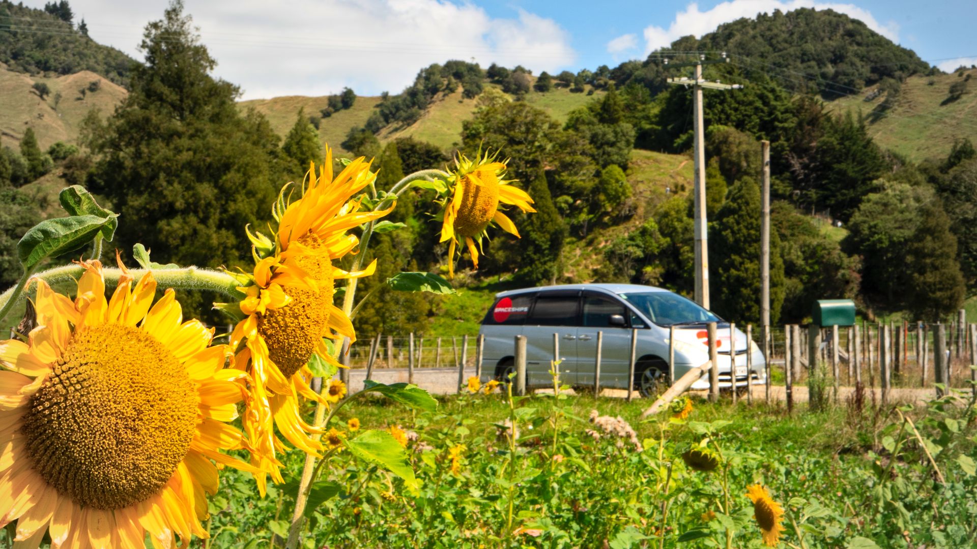 Spring in New Zealand: see why it's a great season for camping