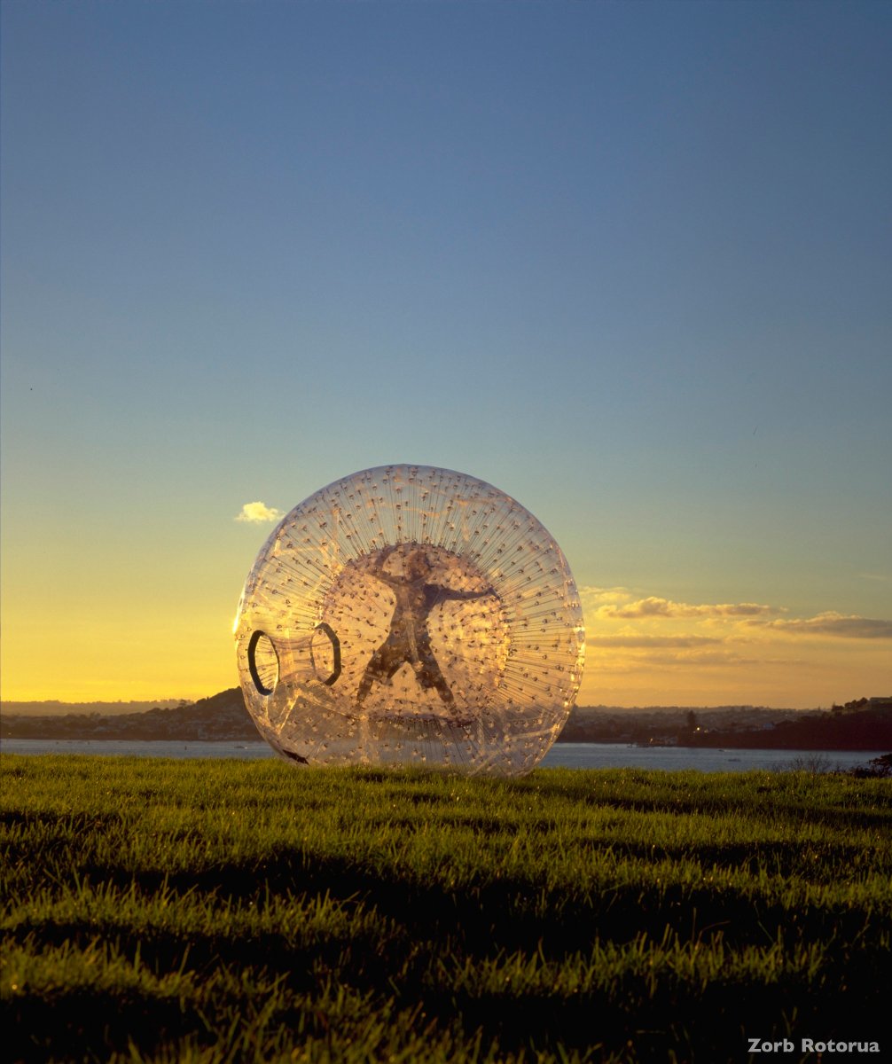 A weird yet super fun New Zealand adventure activity: Zorb in Rotorua A weird yet super fun New Zealand adventure activity: Zorb in Rotorua