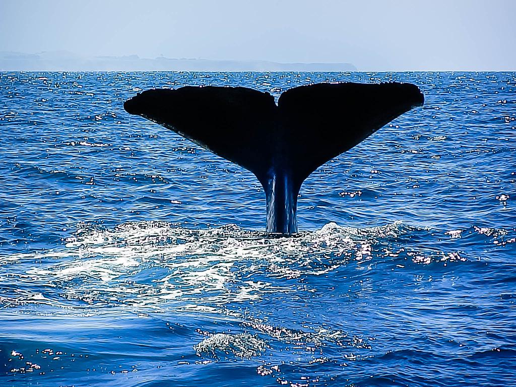 Your free guide to the ultimate New Zealand road trip from Christchurch