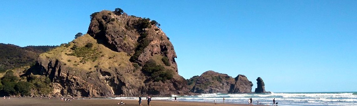 Lion Rock Piha